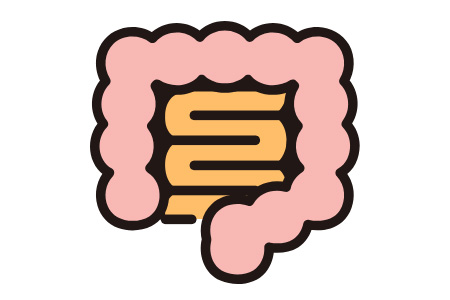 腸の状態チェック