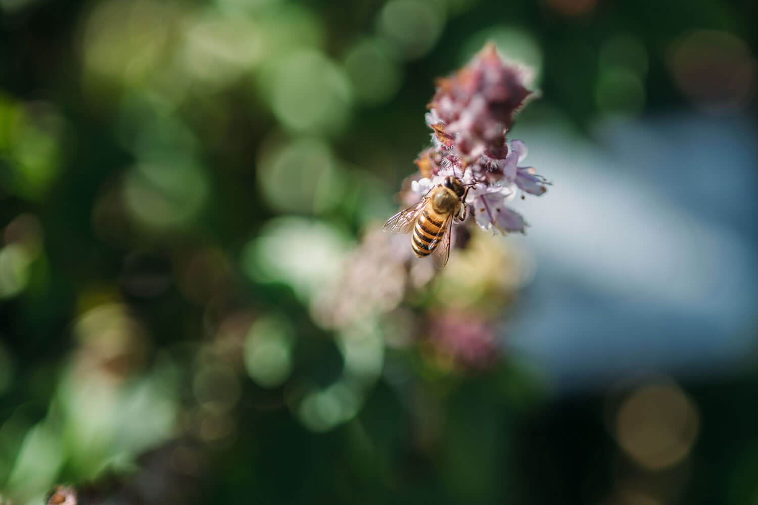 2112-feature-treeoflifexkusu-02-cut04