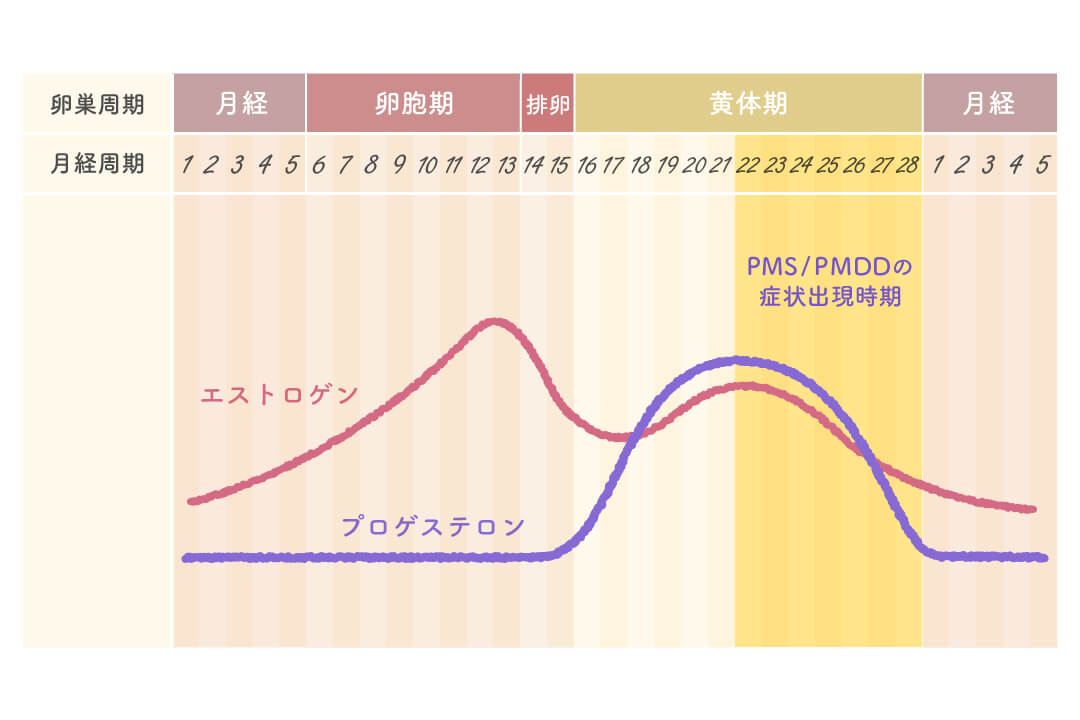 series-healthcare-pmspmdd-cut01