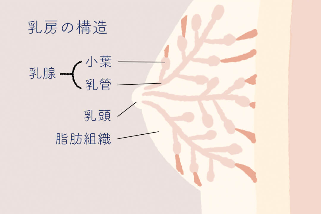 series-healthcare-nyugan-cut01