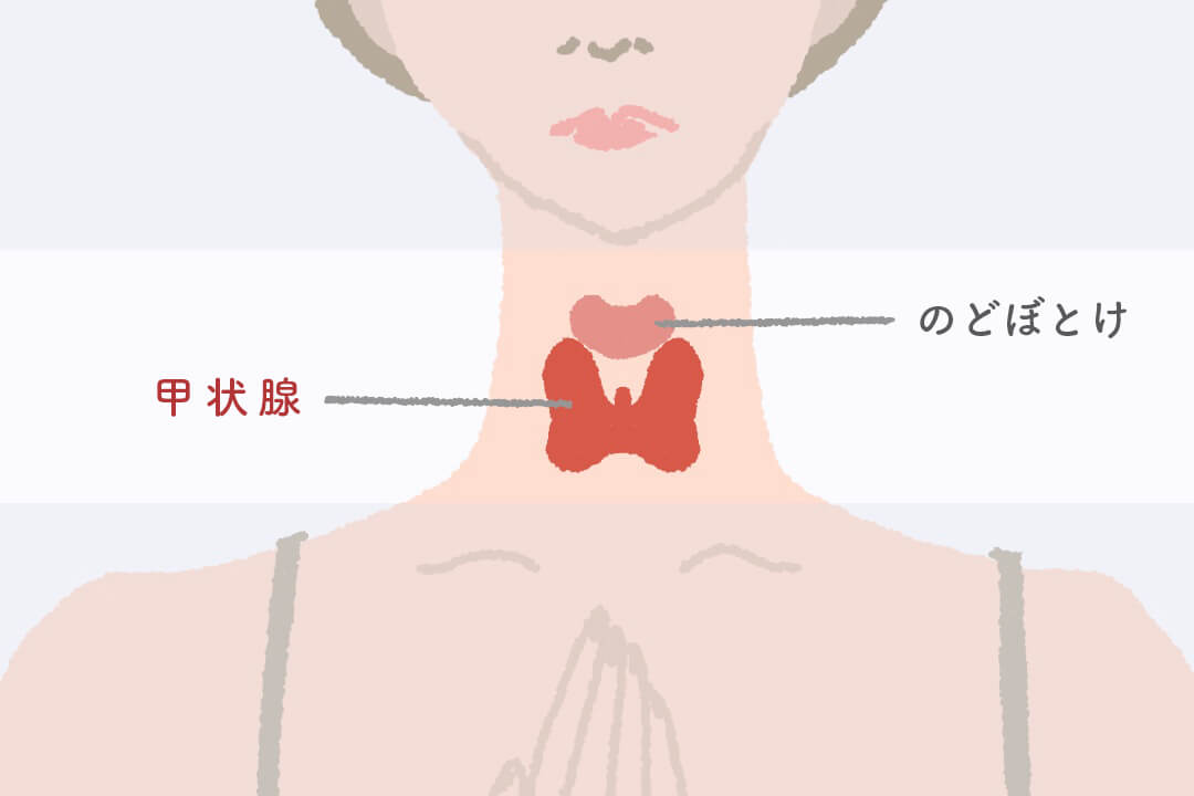 series-healthcare-kojosen-cut01