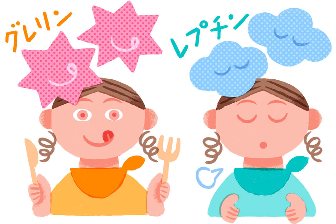 食欲ホルモンを味方につけて、食べ過ぎ＆ドカ食いをSTOP！