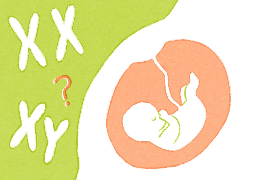 健康や生殖、心にも作用する「性ホルモン」