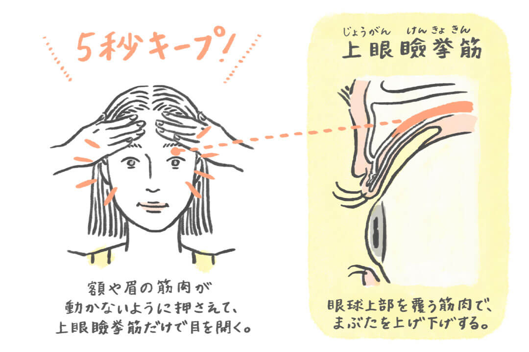 「表情筋トレーニング」を専門家が紹介 見た目年齢を若返らせよう！