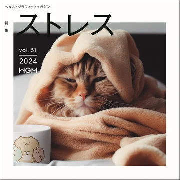 HGM_stress_h1罫線あり