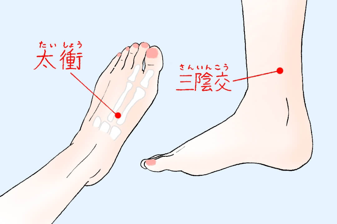 series-tsubo-06-hie-cut01