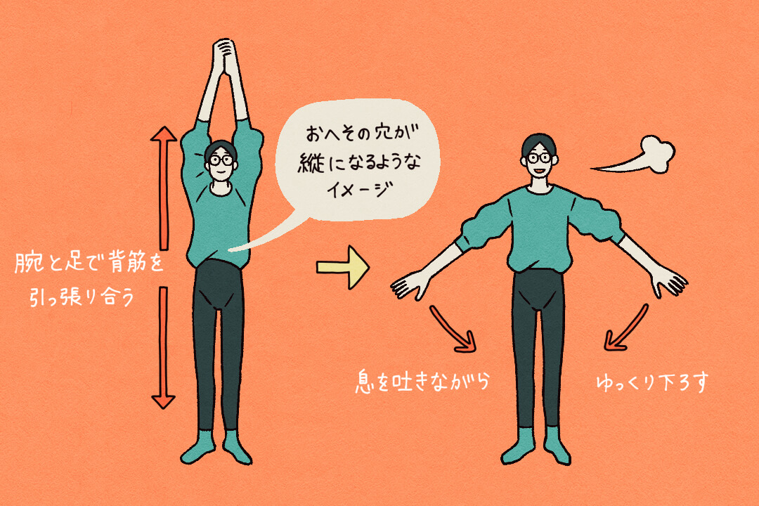 40代からの疲れにくい体づくり！すぐ実践できるストレッチと動作