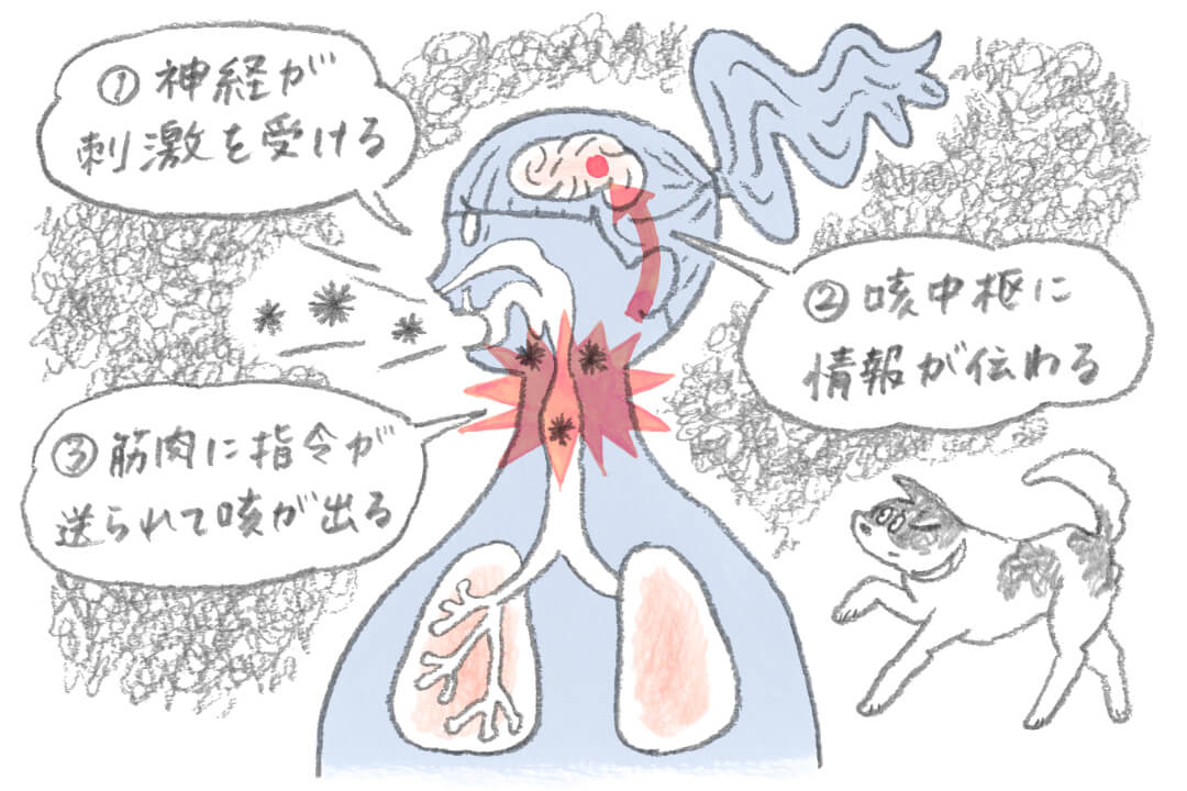 咳が止まらない原因から対処法まで | 咳のセルフチェックリスト付き