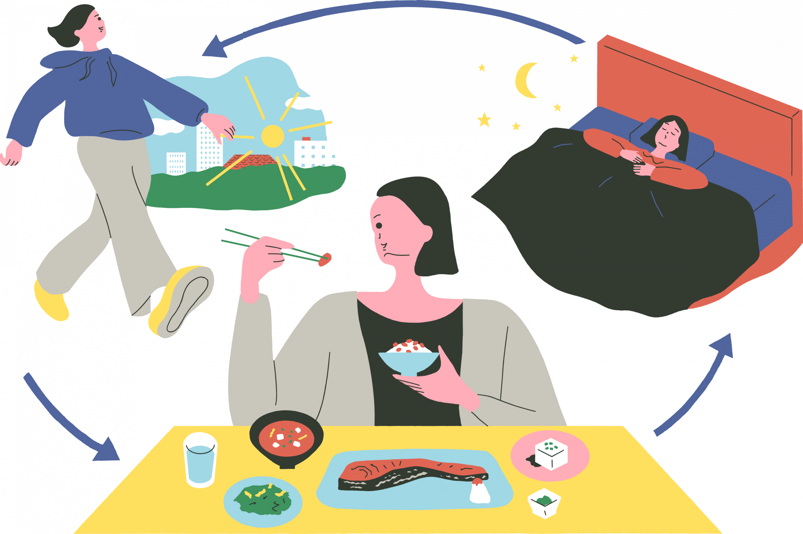 250910fat-and-thin-hormone-cut03