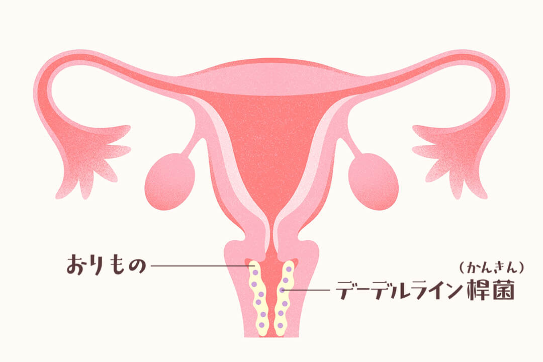 250708sweat-and-smell-delicate-zone-cut02