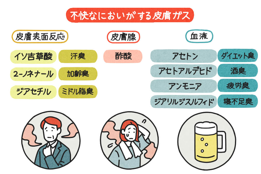 250708sweat-and-smell-skin-gas-cut02