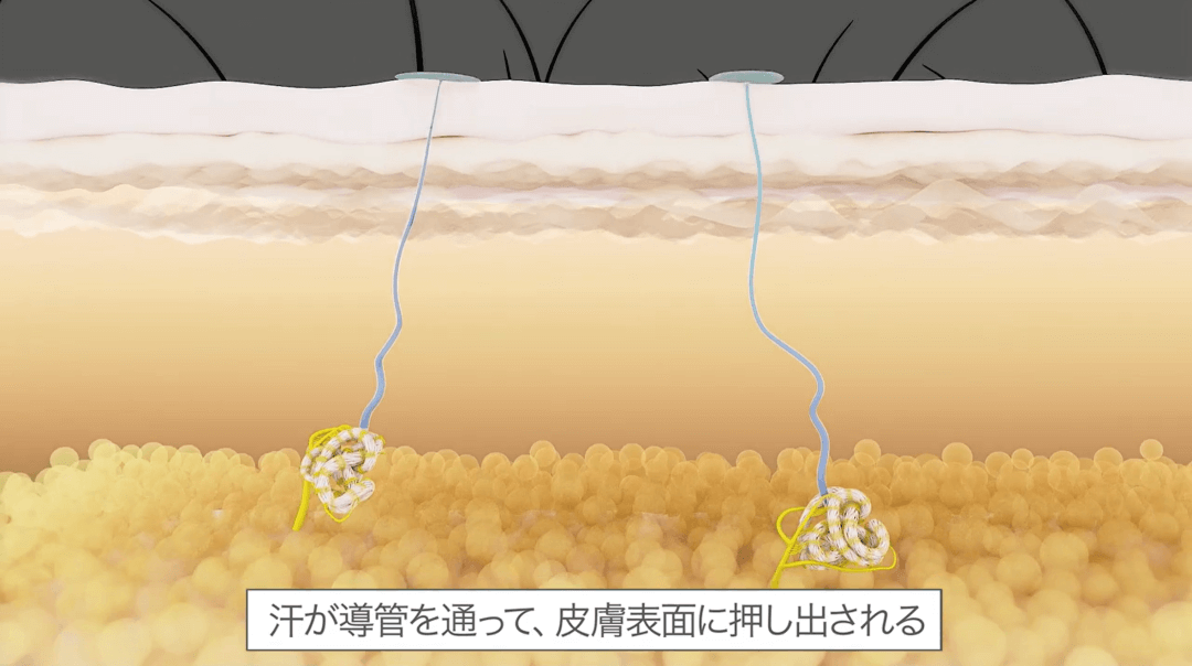 250708sweat-and-smell-mandom-cut05