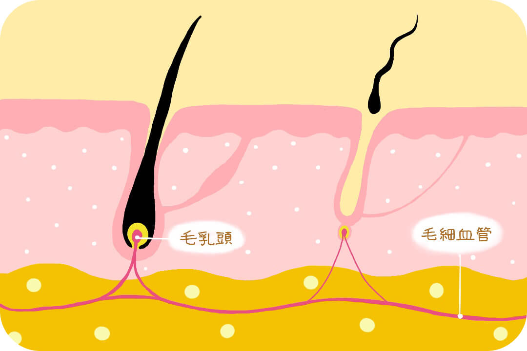 series-hairtrouble-usuge-cut01