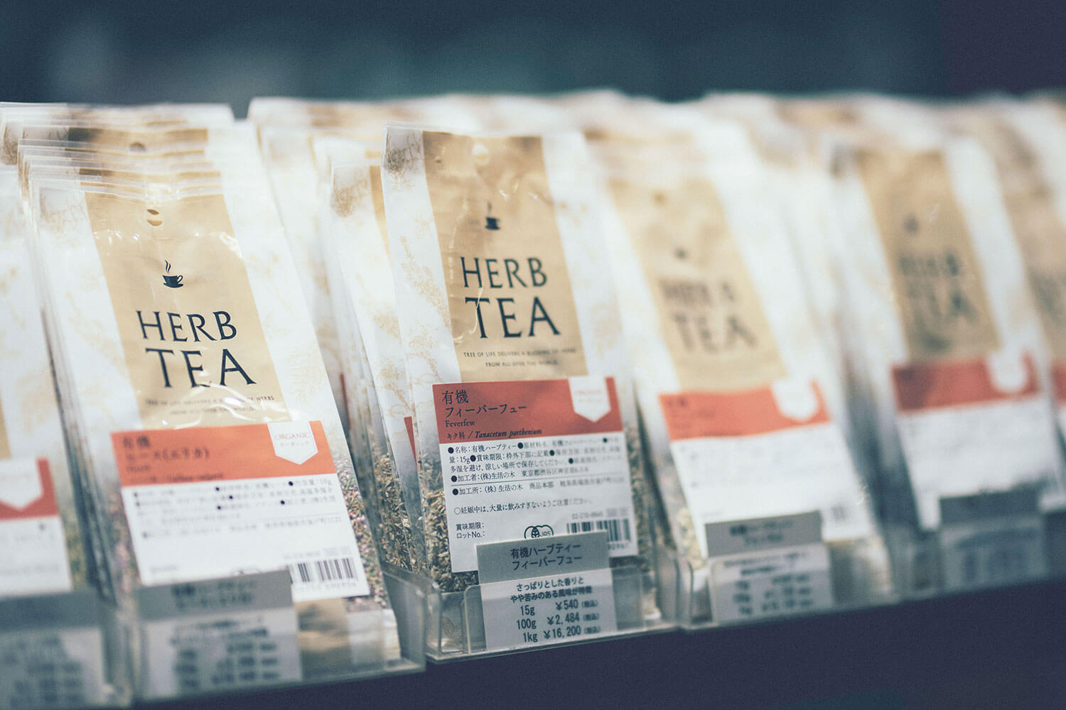 市川渚とアロマを学ぶ。頭痛が和らぐ香りの種類とは