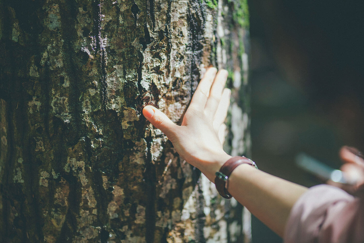 公園で不安解消。森林浴の専門家に聞くリフレッシュ術