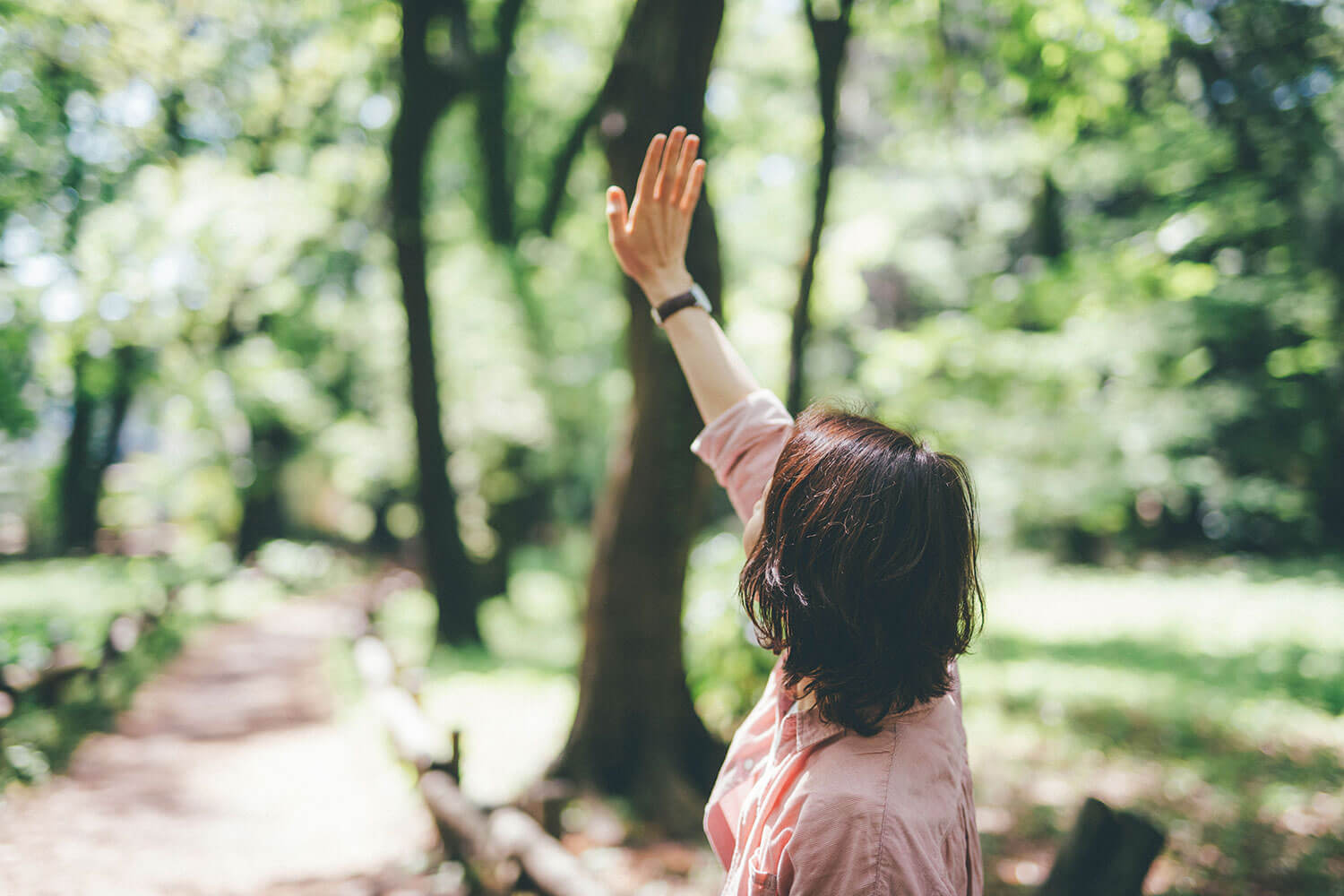 公園で不安解消。森林浴の専門家に聞くリフレッシュ術