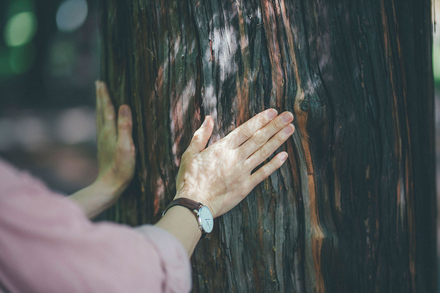 公園で不安解消。森林浴の専門家に聞くリフレッシュ術