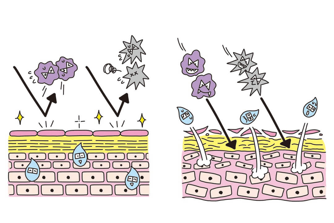 カサカサに慣れてない？「ドライスキン」の原因とケア