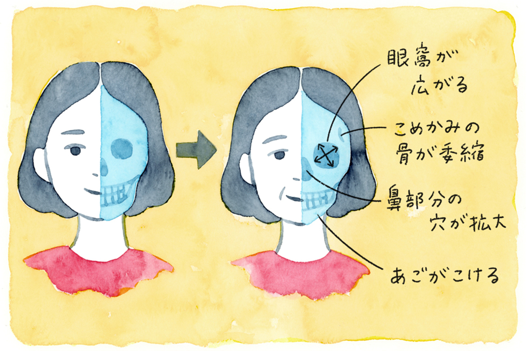 顔のシワやたるみは骨が原因？骨と美容の意外な関係