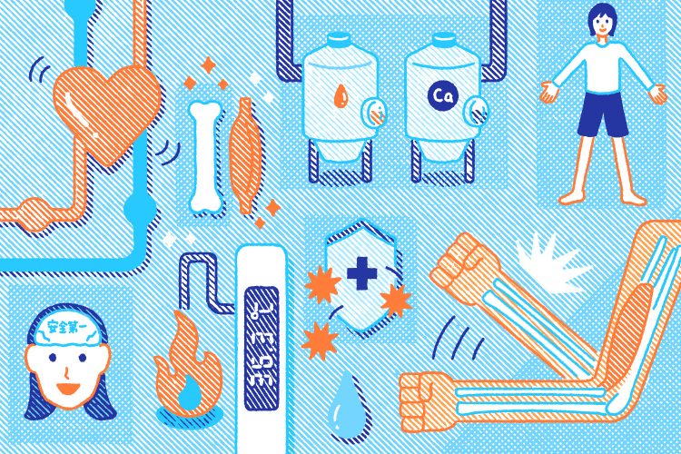 骨と筋肉のしくみ・役割とは？体のつくりをわかりやすく解説