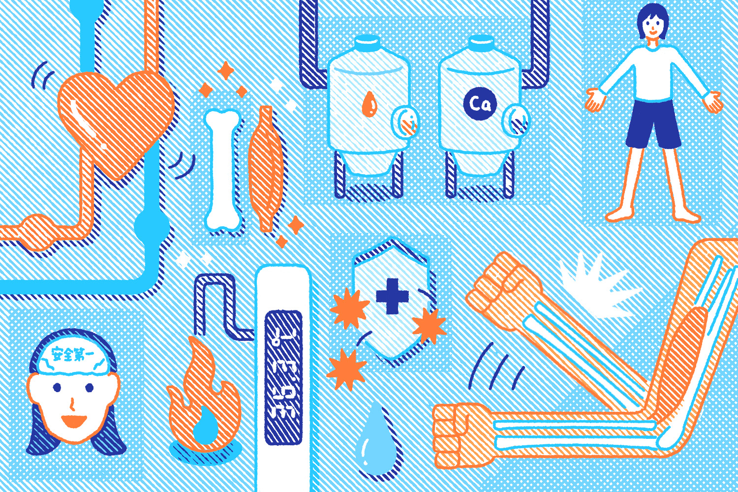 骨と筋肉のしくみ・役割とは？体のつくりをわかりやすく解説