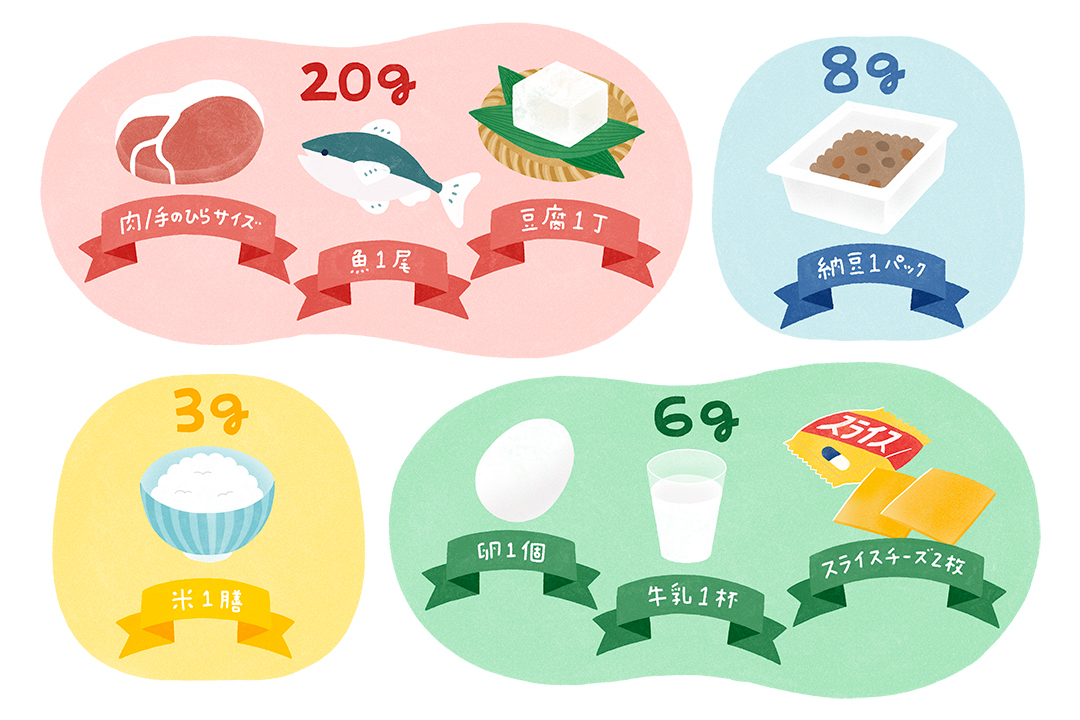 骨と筋肉をつくる！タンパク質を効率よく摂る3つのポイント