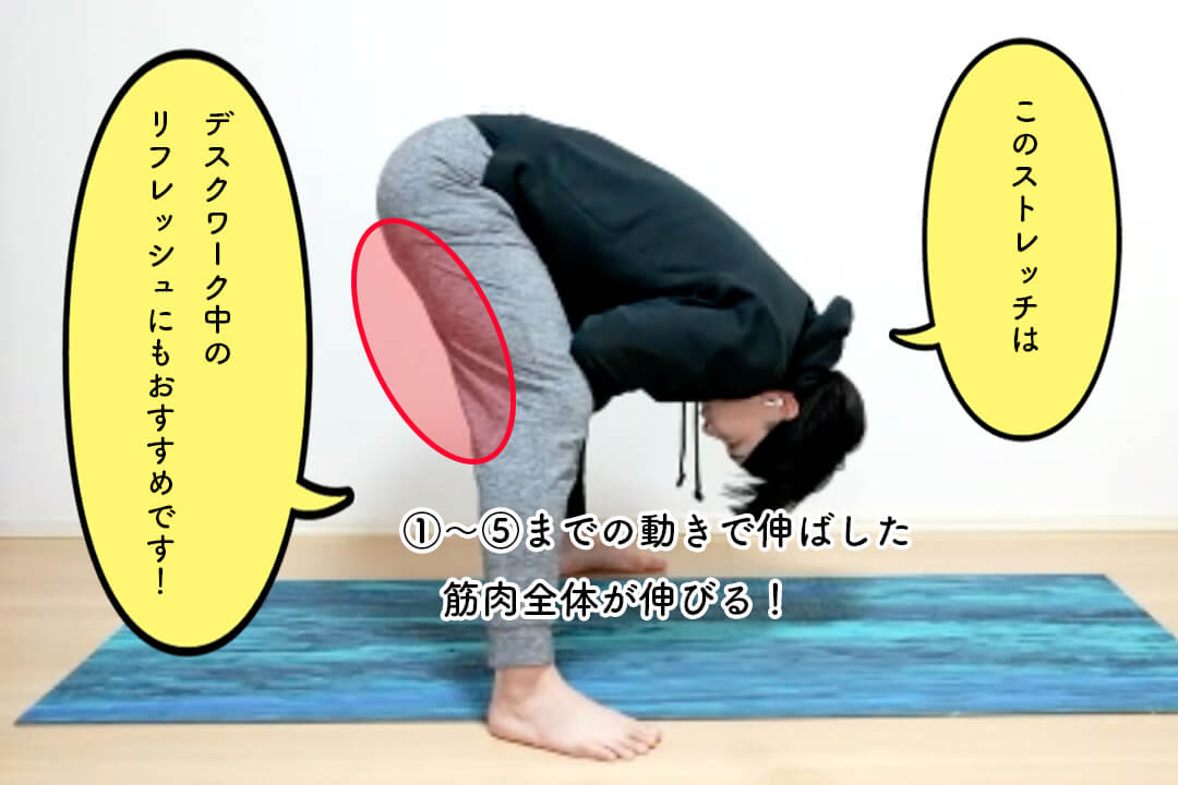 体の硬さは改善できる？オガトレさんストレッチ体験レポ