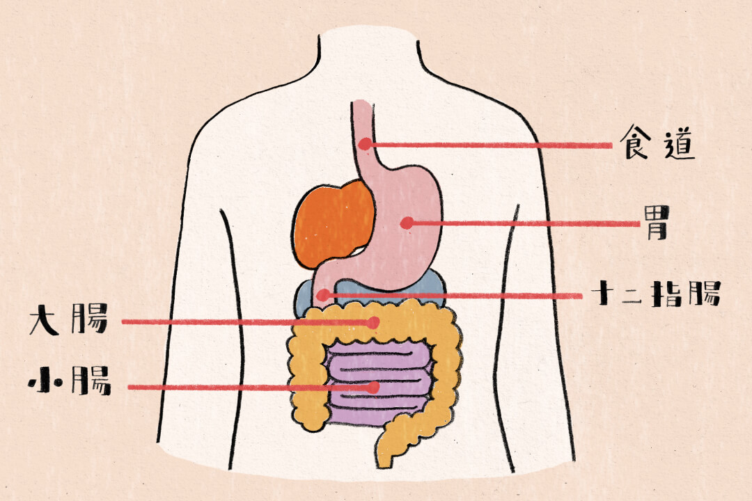 みぞおちが痛い…原因は？胃のまわりの病気と対処法