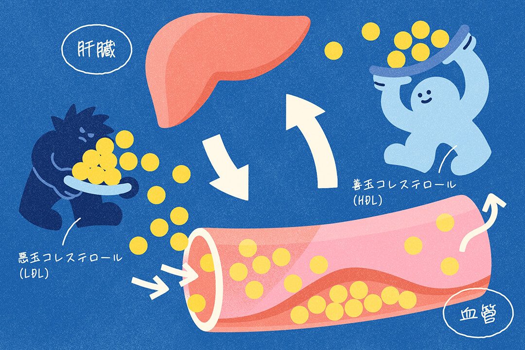 この数値ってどんな意味？健診結果の見方を解説