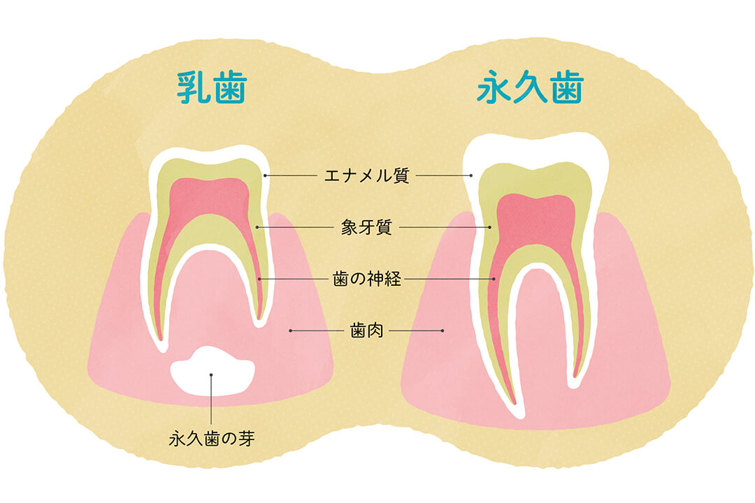 子どもの健やかな発育のために。成長別口腔ケアのコツ