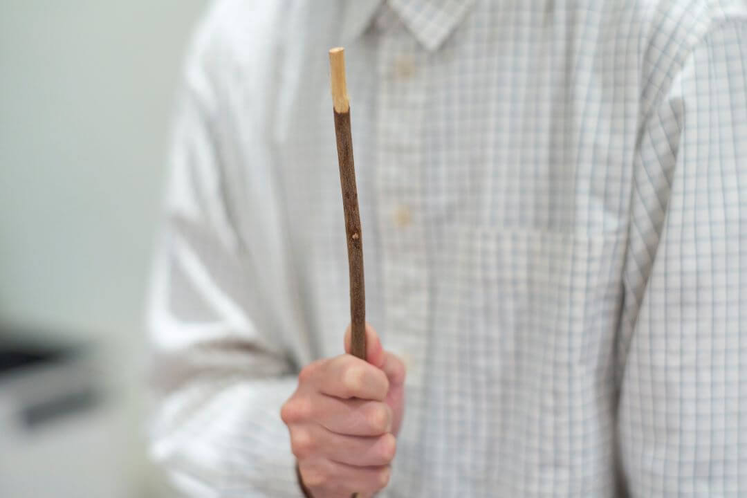 1000本超のコレクション。矢部太郎さんの歯ブラシ愛