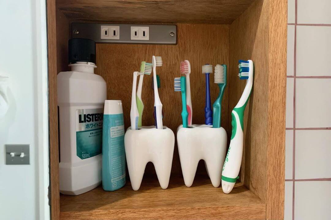 1000本超のコレクション。矢部太郎さんの歯ブラシ愛