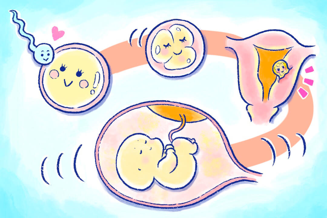 赤ちゃんはどう生まれるの？子どもの性の質問と答え方