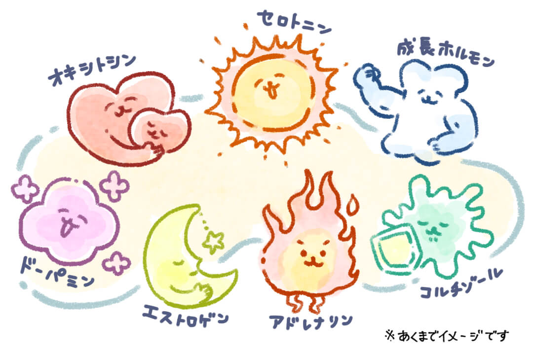 「ホルモン」って体のなかで何をしているの？