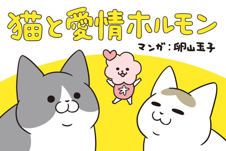【実録マンガ】愛猫との暮らしであふれるオキシトシン