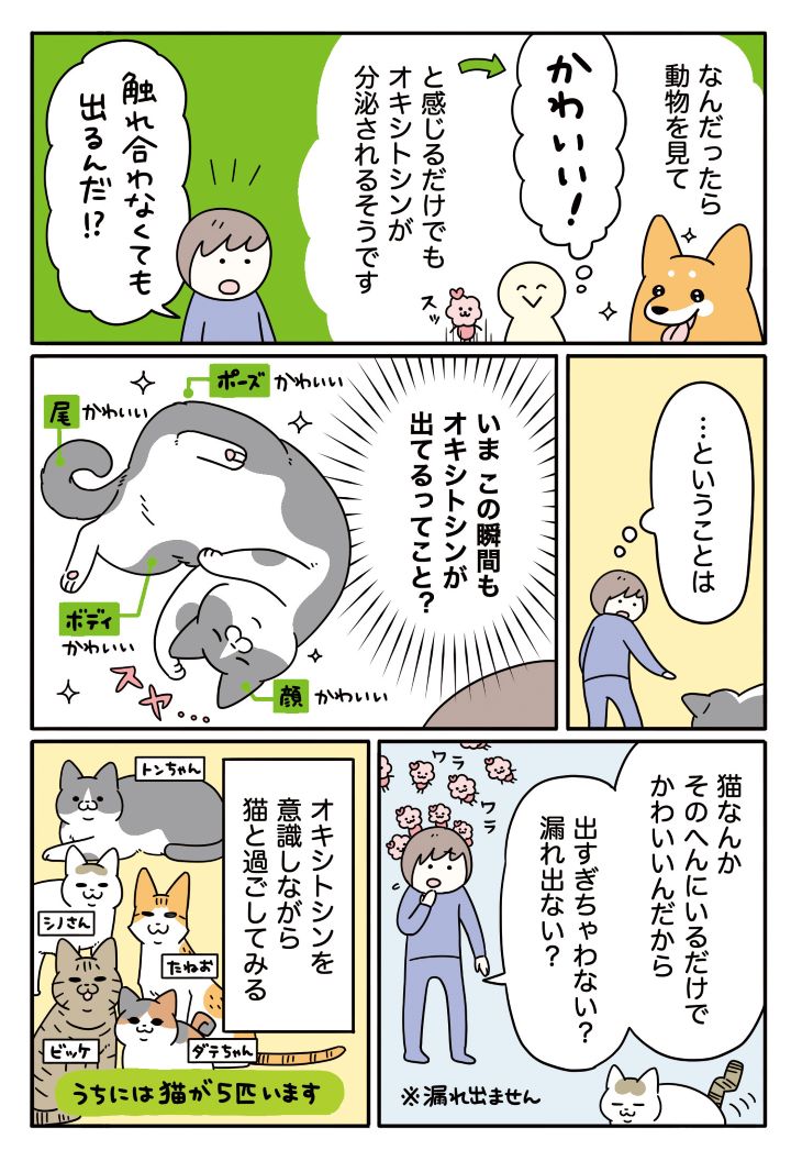 【実録マンガ】愛猫との暮らしであふれるオキシトシン