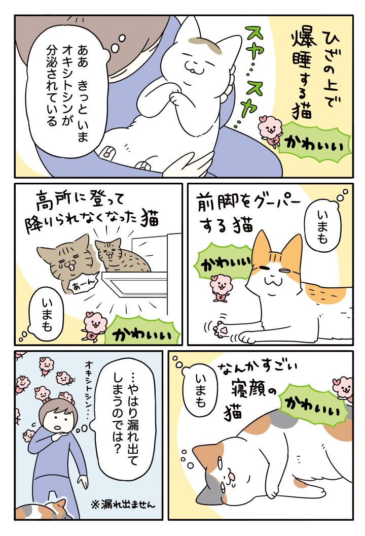 【実録マンガ】愛猫との暮らしであふれるオキシトシン