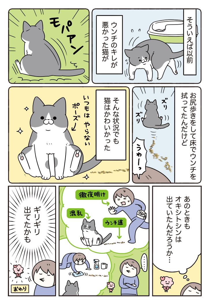 【実録マンガ】愛猫との暮らしであふれるオキシトシン