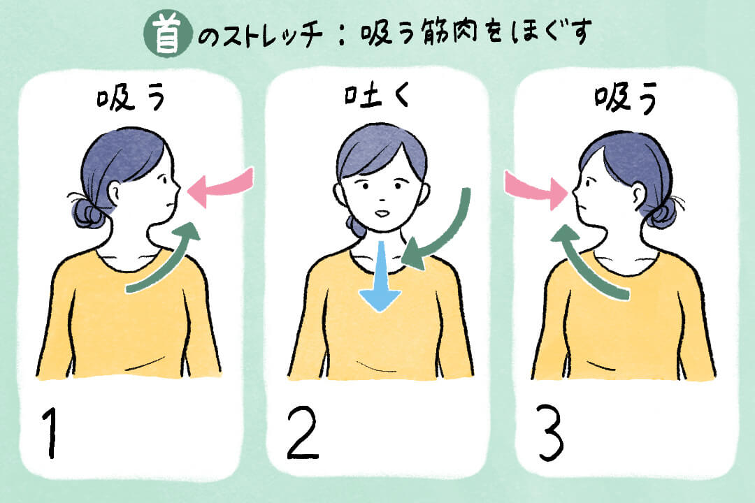 20代から衰える!?ストレッチで「呼吸筋」を鍛えよう！