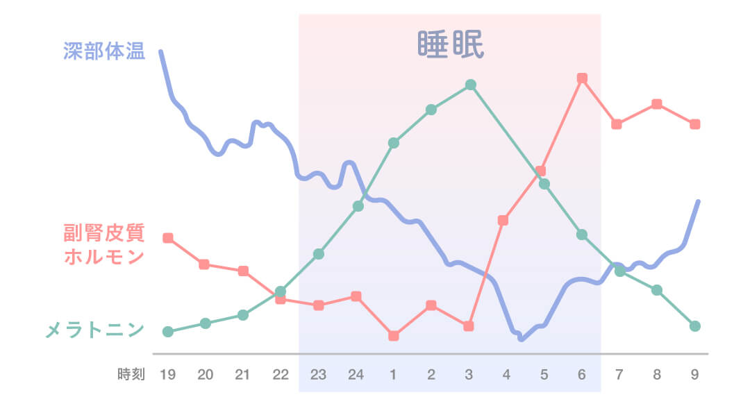 眠っている間に体や脳はどうなっている？睡眠の役割とは