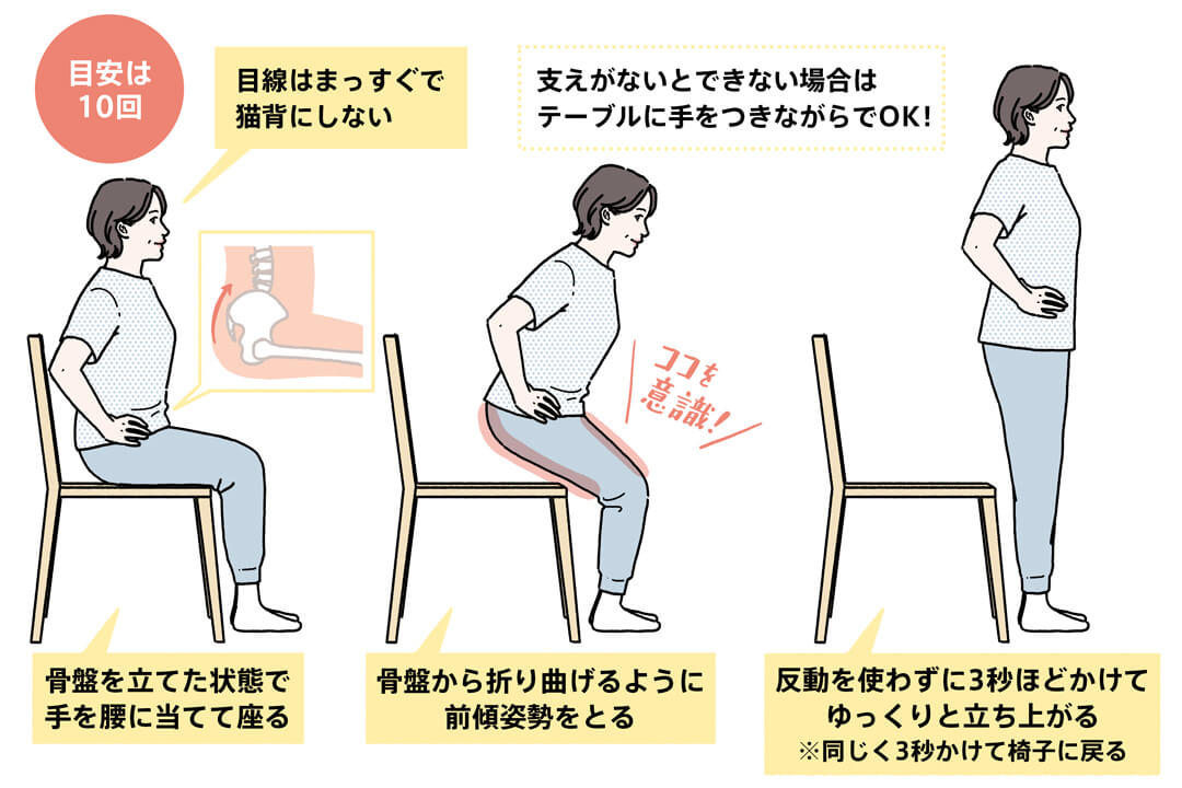 前もも、もも裏、お尻のトレーニング方法