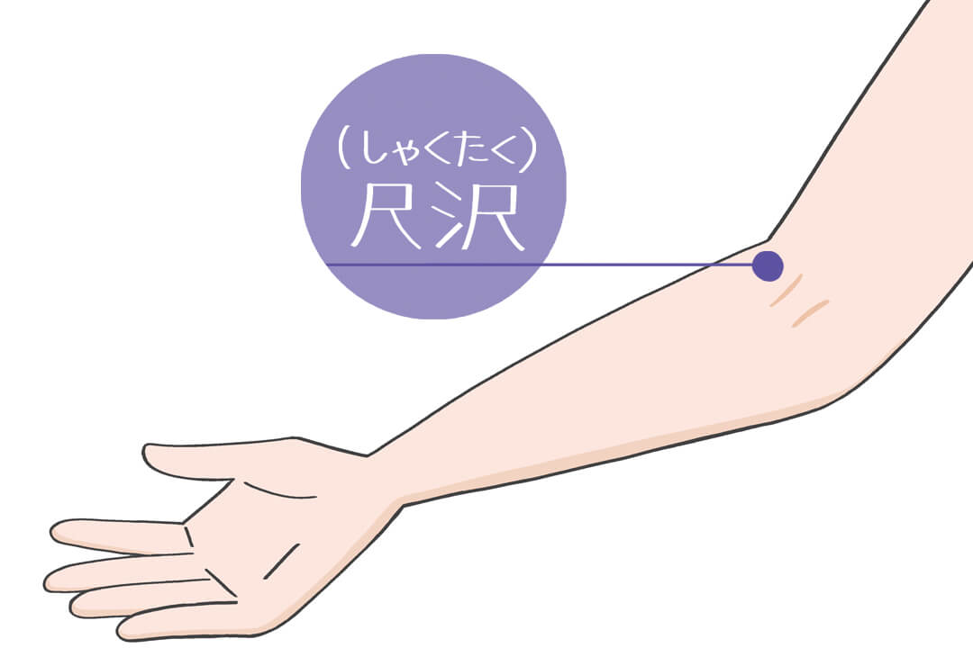 尺沢（しゃくたく）の位置（肘の内側）