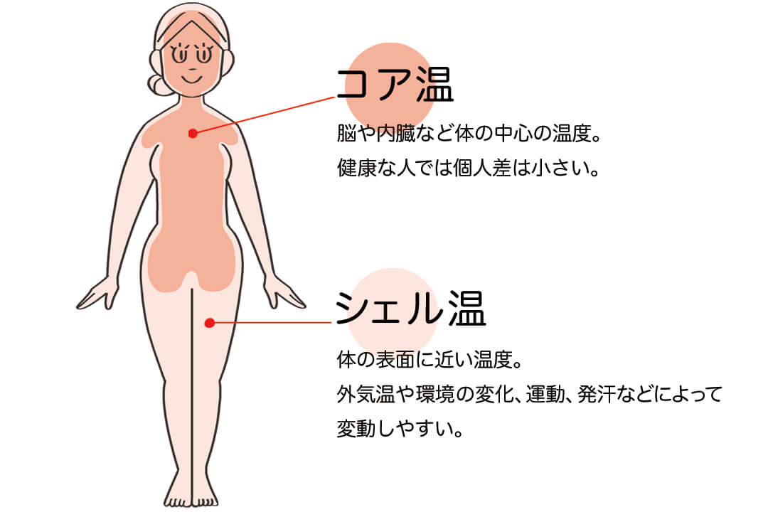 コア温とシェル温の場所
