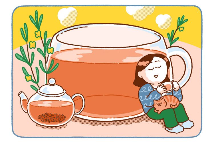 ルイボスティーはからだにどういい？おすすめする人・しない人