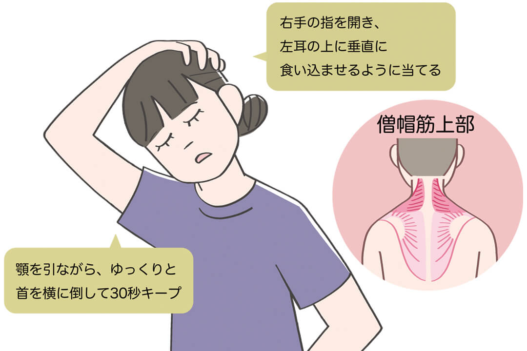 僧帽筋（そうぼうきん）上部のストレッチ方法