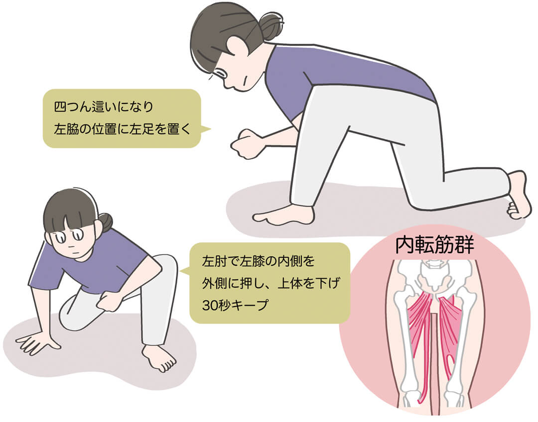 内転筋群（ないてんきんぐん）のストレッチ方法