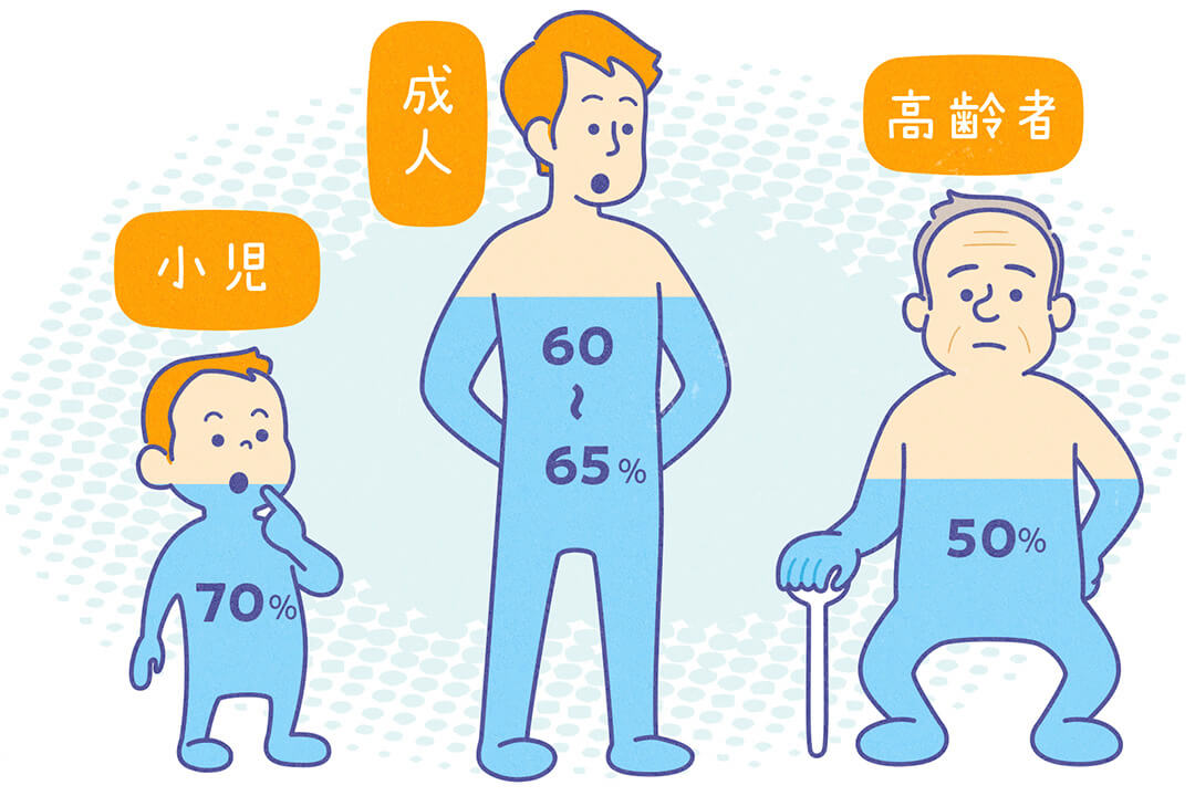 世代別の体の水分量