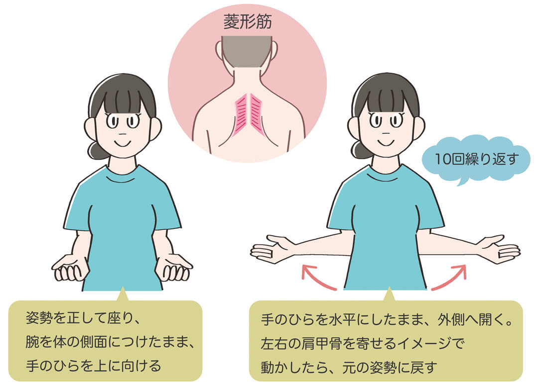 菱形筋（りょうけいきん）に効く、逆Tエクササイズ