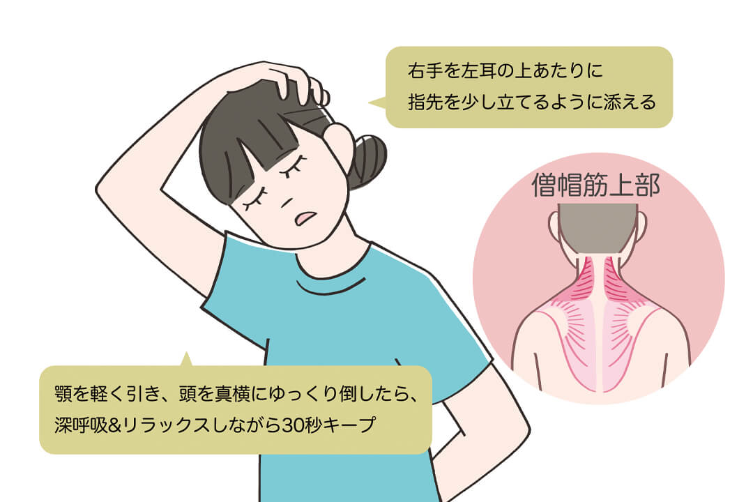 僧帽筋上部のストレッチ