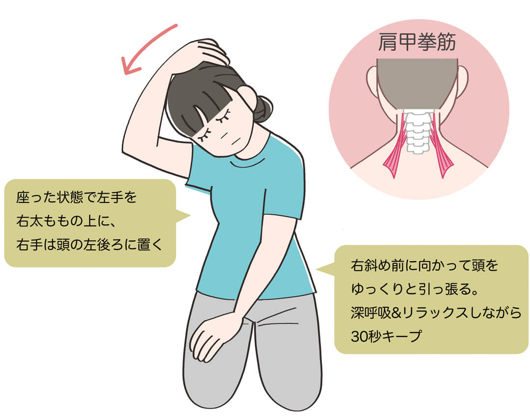 肩甲挙筋（けんこうきょきん）のストレッチ